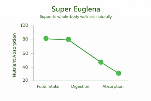 Nutrition absorption