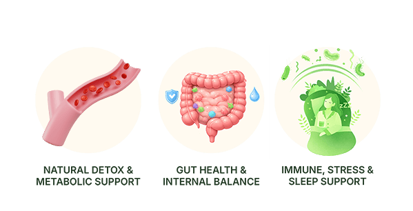 Benefits of taking Super Euglena